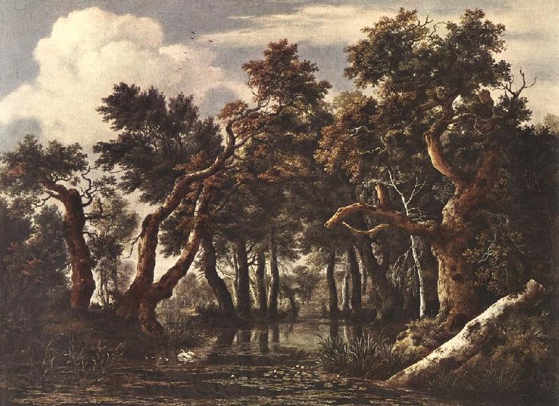 Jacob van Ruisdael The Marsh in a Forest Spain oil painting art